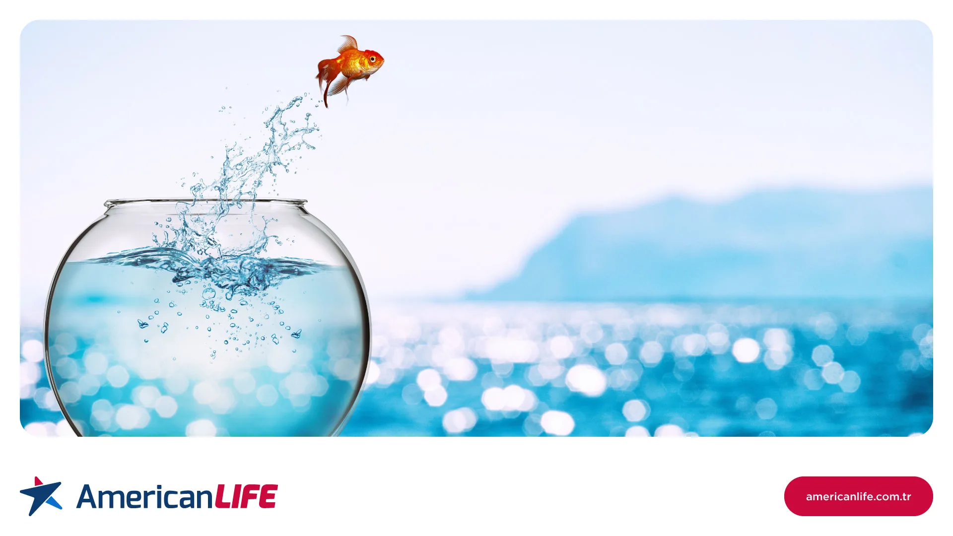 American LIFE Franchise American LIFE Franchise