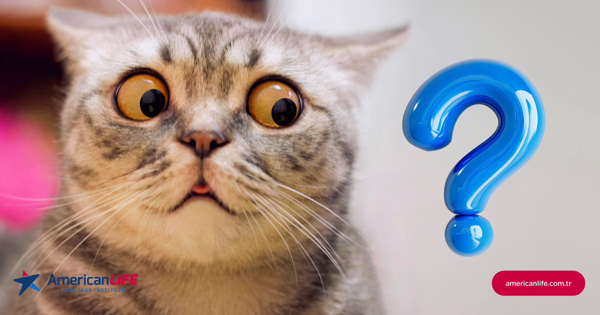 İngilizce Öğrenirken Yapılan 10 Yaygın Hata Ve Çözümleri