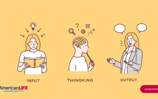 Input Output Dil Öğrenme Dengesi